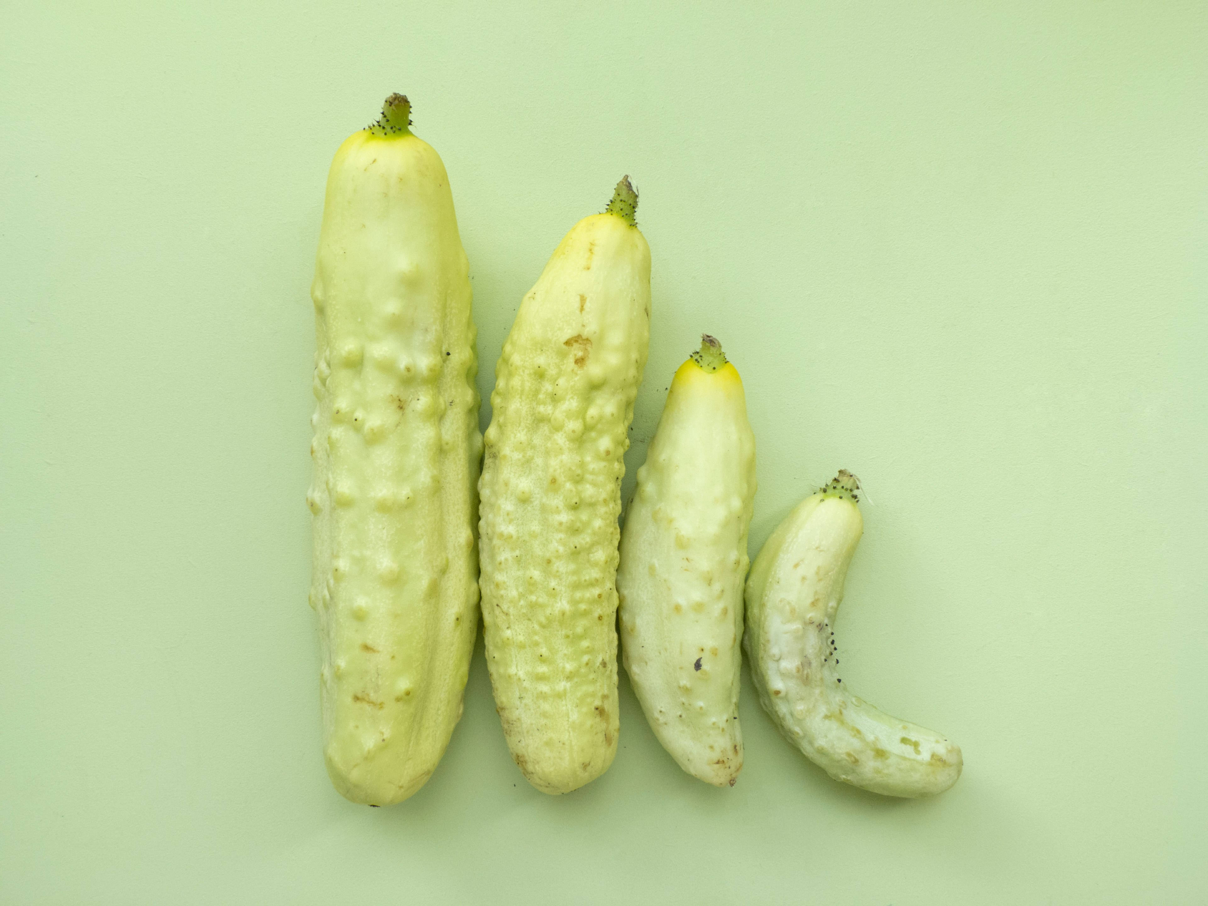 倫敦The Gherkin摩天大樓壯麗景色 壁紙 — 四條淡黃色青瓜大小不一，按遞減順序排列在柔和的薄荷綠色背景上。