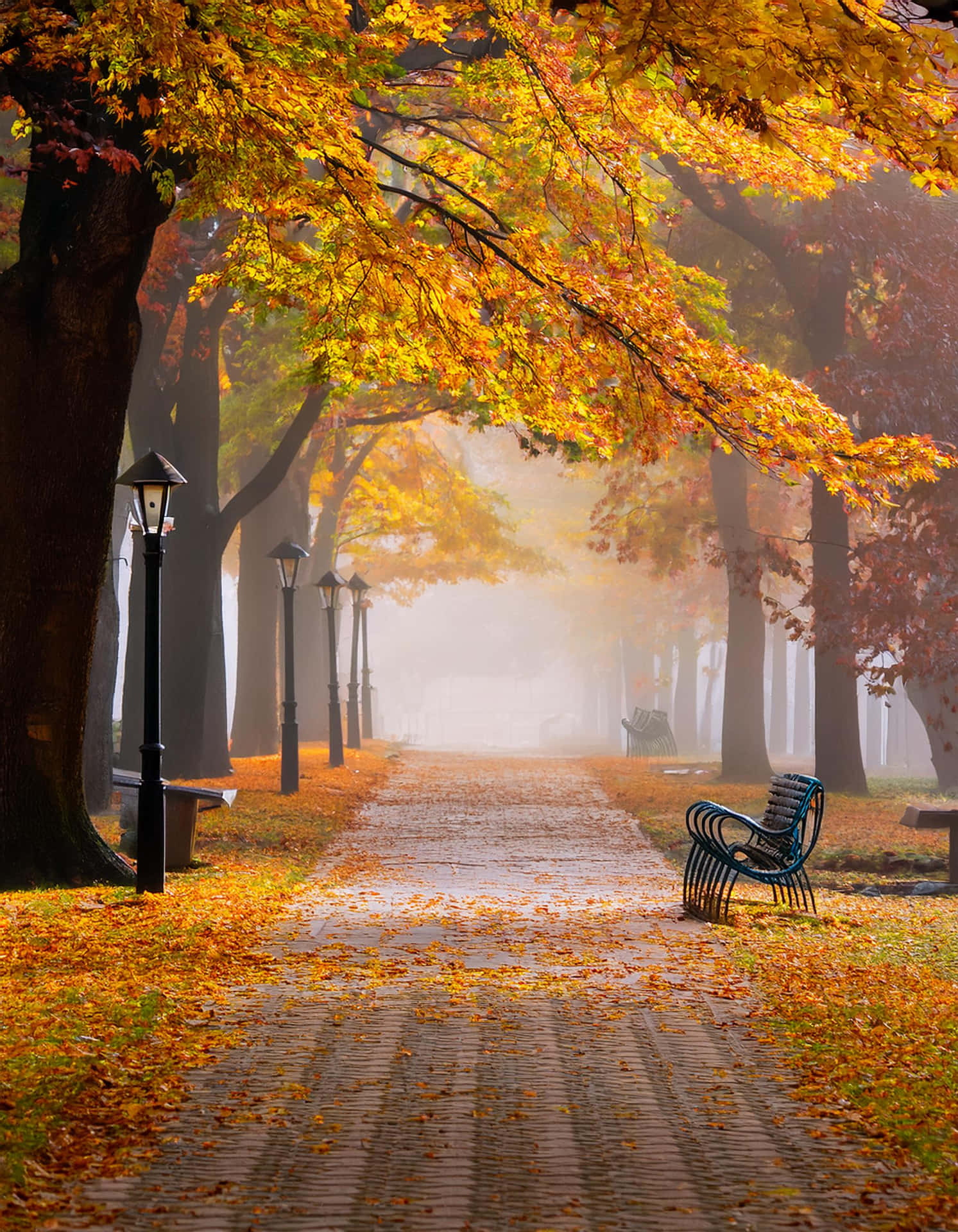 The Silence of Autumn 壁紙 — 一條霧氣瀰漫的秋日公園小徑，兩旁金黃的樹木和路燈，通向一個閃爍的地平線，還有一張孤獨的長椅。