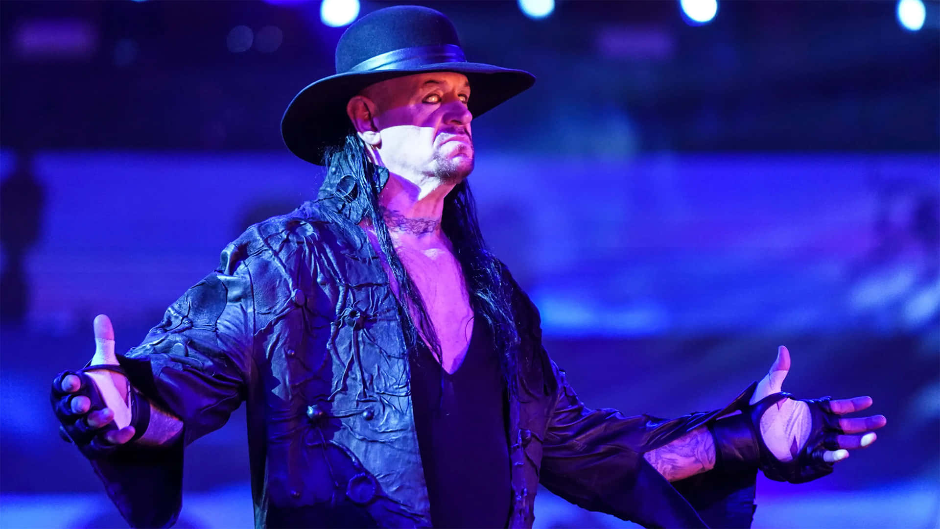  壁紙 — The Undertaker 戴著黑色帽子，身穿質感外套，在戲劇性的藍色和紫色燈光下張開雙臂站在舞台上。