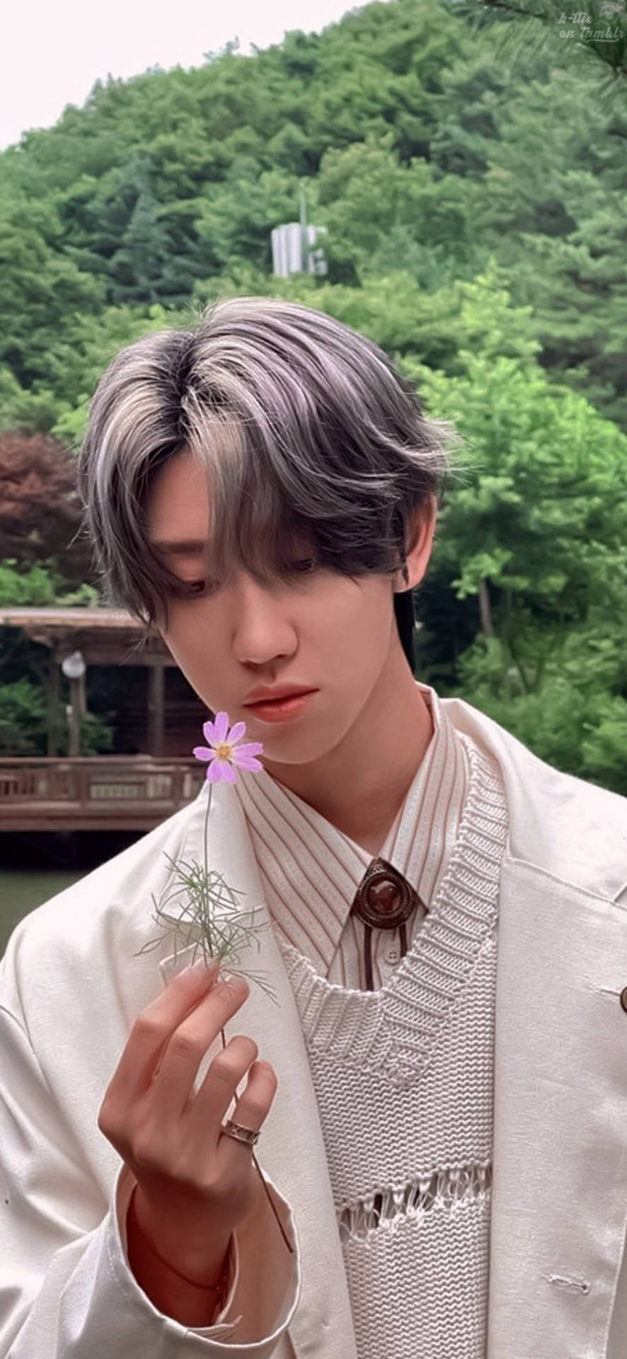 銀髮年輕男子在森林環境中手持紫色花朵。
