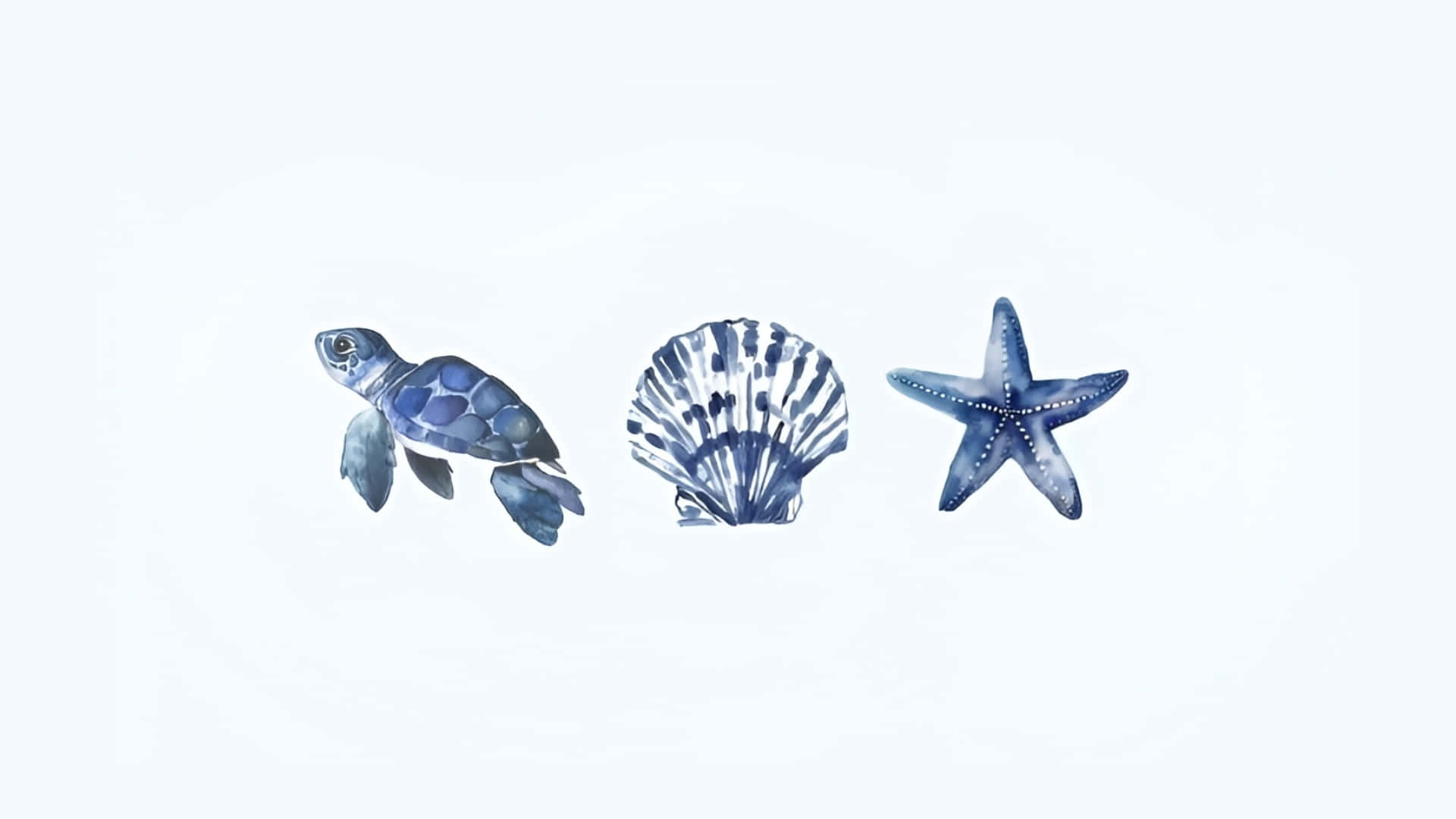  壁紙 — 三種藍色水彩海洋生物，一個龜殼和海星漂浮在柔和的白色背景上。