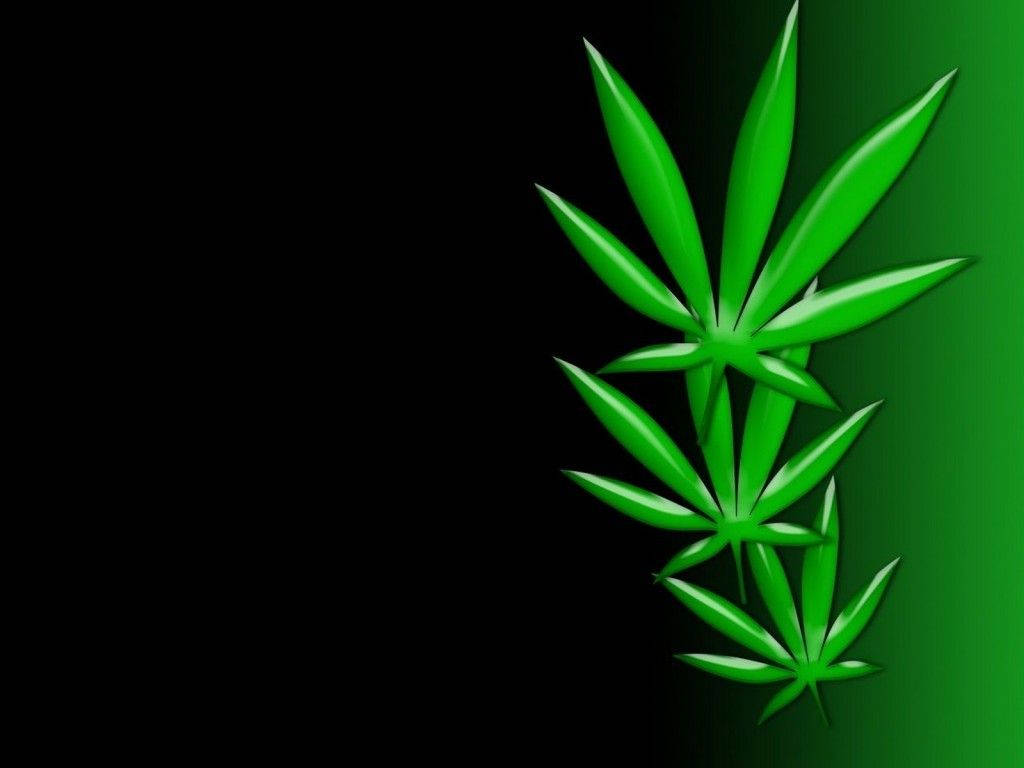 翠綠、葉片飽滿，隨時準備出發 壁紙 — 三塊光澤的綠色大麻葉在黑色到綠色的漸變背景上發光。