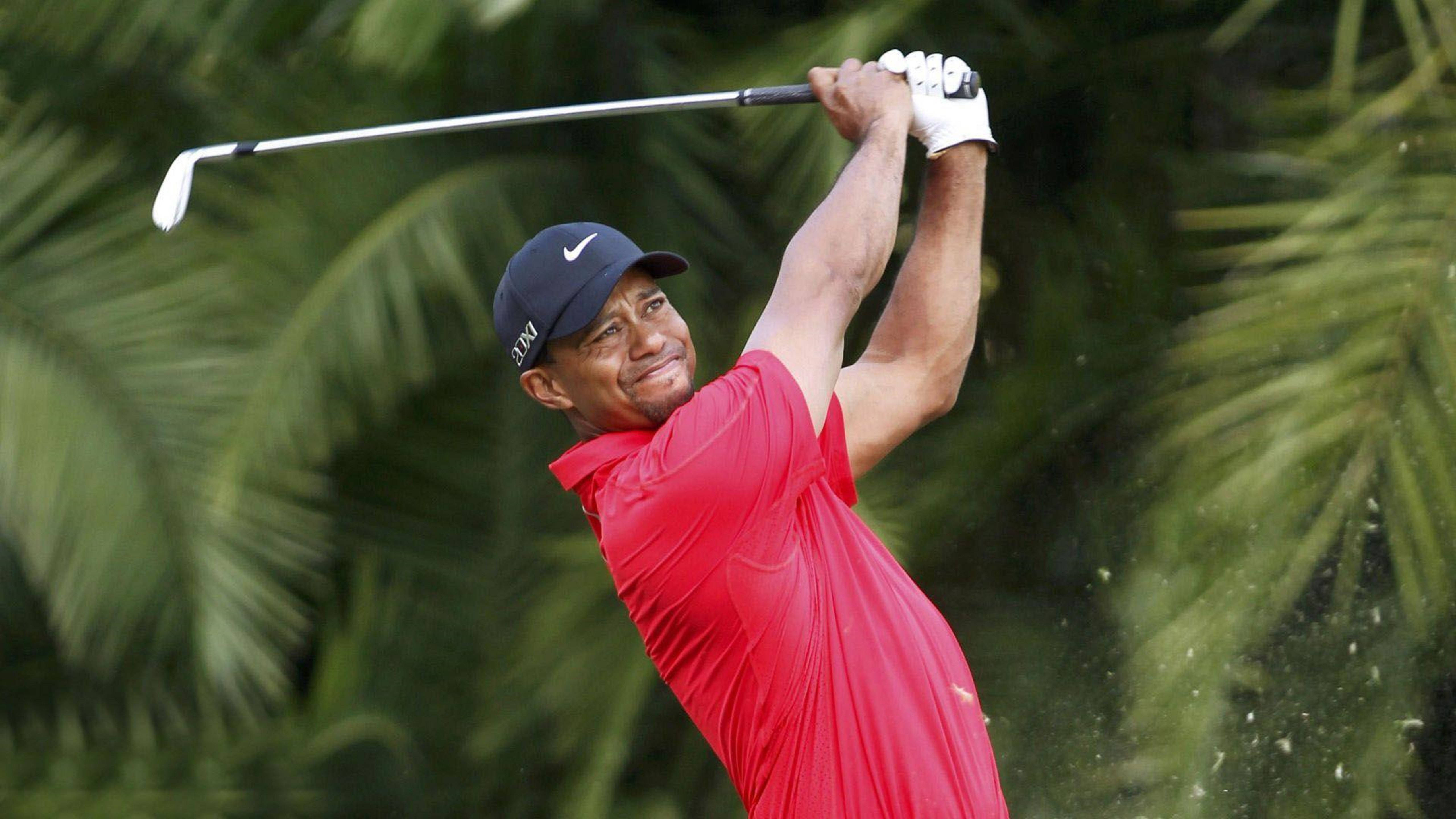 Tiger Woods 擊球肖像 壁紙 — 老虎活士在茂密綠色棕櫚葉的背景下，專注地揮動高爾夫球桿。