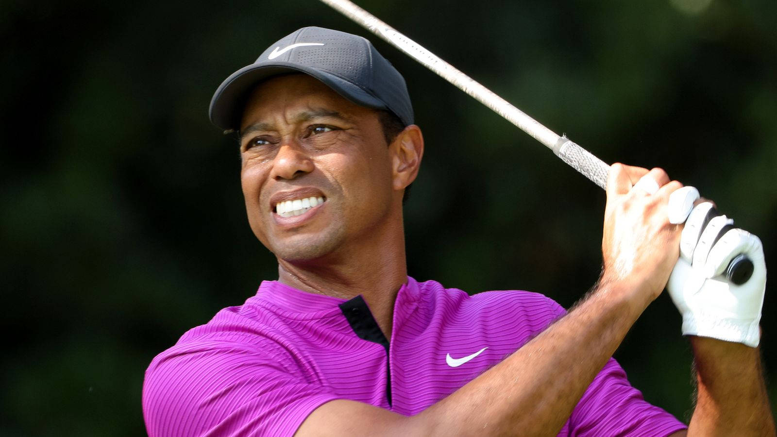 woods 桌布 壁紙 — Tiger Woods 穿著鮮紫色襯衫，在模糊的綠色樹葉背景下揮桿中。