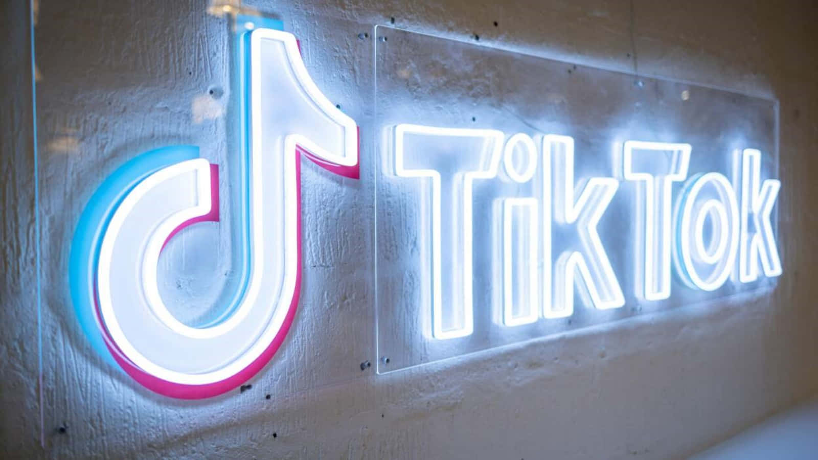 TikTok 標誌在牆上發光 壁紙