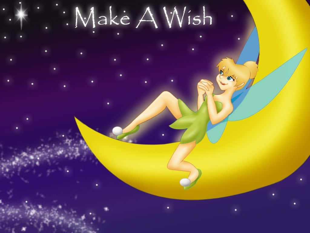 Tinkerbell 1024 x 768 背景 壁紙
