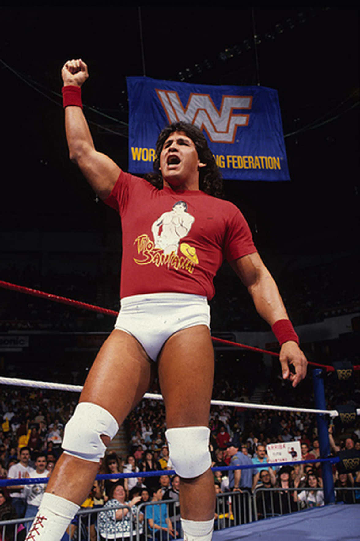 Tito Santana 摔角名人堂 WWF 超級明星 壁紙 — Wrestler The Samoan Savage 在WWF擂台上高舉拳頭，勝利咆哮，身後觀眾歡呼。
