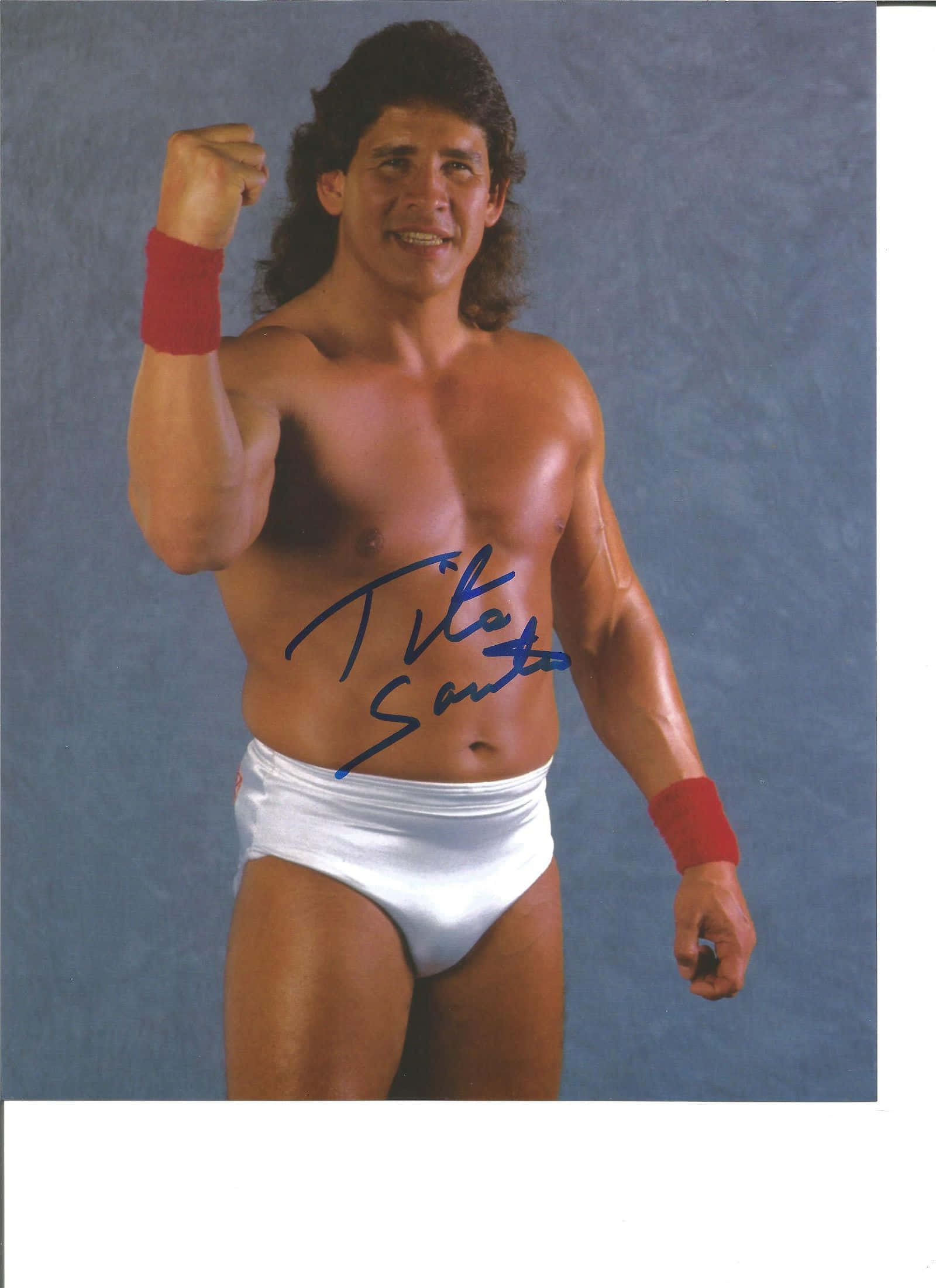 Tito Santana 簽名經典 WWF 摔角卡 壁紙 — 一位肌肉發達、長黑髮的摔角手，穿著白色三角褲和紅色腕帶，在藍色攝影棚背景下彎曲右臂。