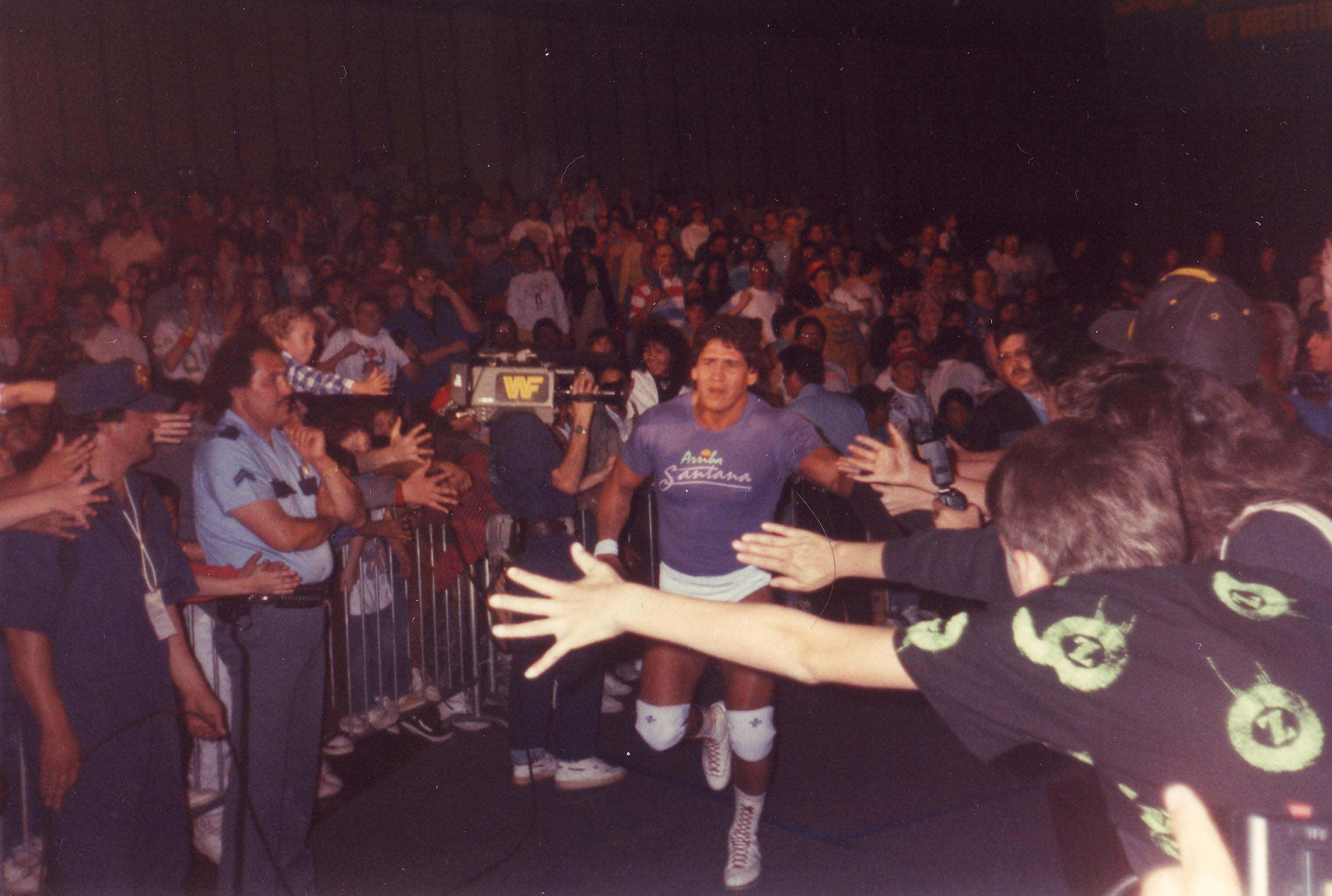 Tito Santana 與粉絲握手 壁紙 — 一名身穿紫色襯衫和白色護膝的摔角手，在明亮的場館燈光下，於WWF活動中穿過歡呼的人群。