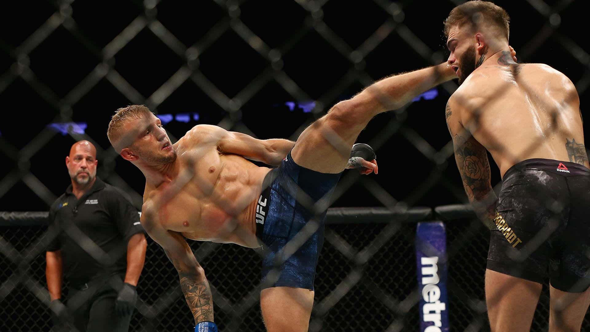 兩名男性MMA拳手在八角籠內與裁判一起行動。