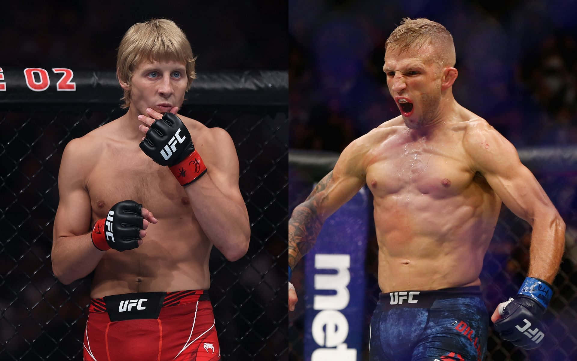兩名身穿UFC裝備的男性MMA拳手在八角籠內，一人專注，另一人慶祝。