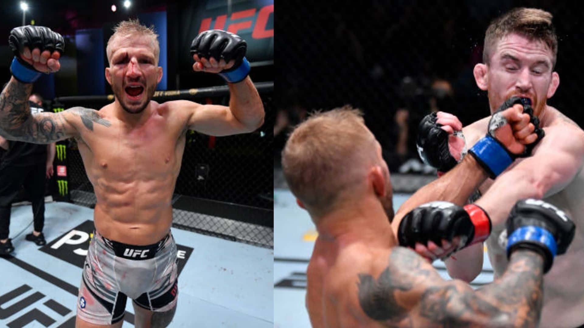 兩名男性MMA拳手在UFC八角籠中，一人慶祝勝利，另一人出拳。