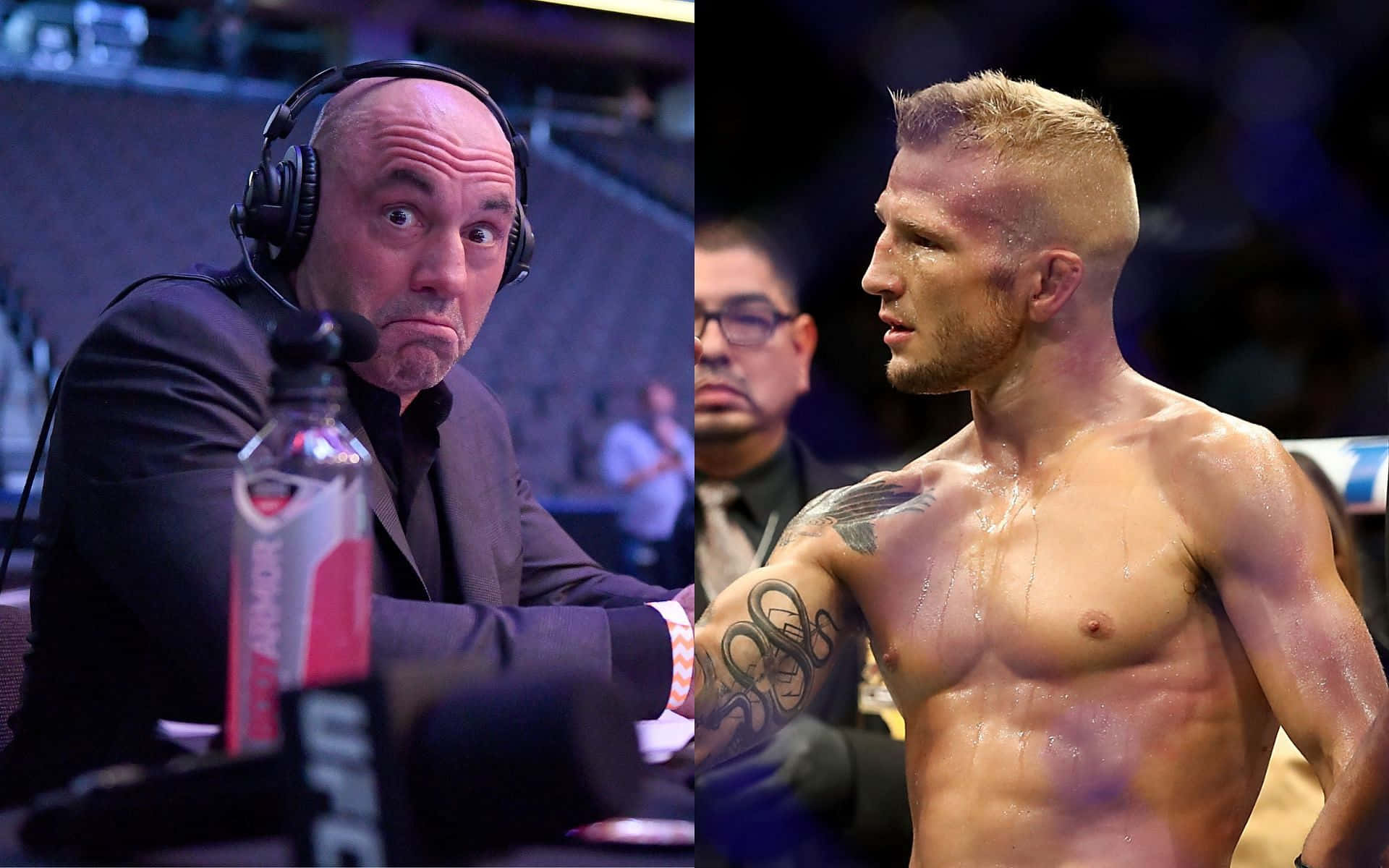 UFC賽事中的解說員和拳手分屏