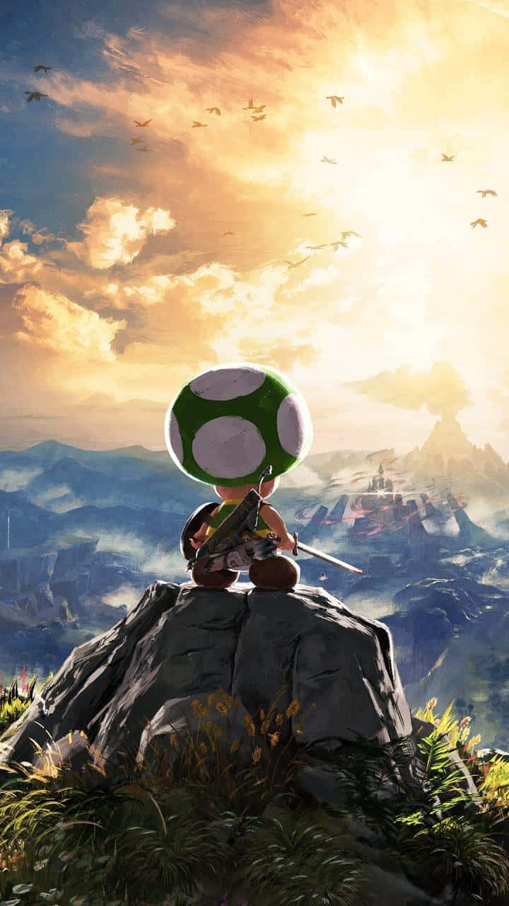 toad 桌布 壁紙 — Toadette 喺日落時企喺岩石山頂上，揸住劍，望住有雀仔喺頭頂飛過嘅霧氣山脈。