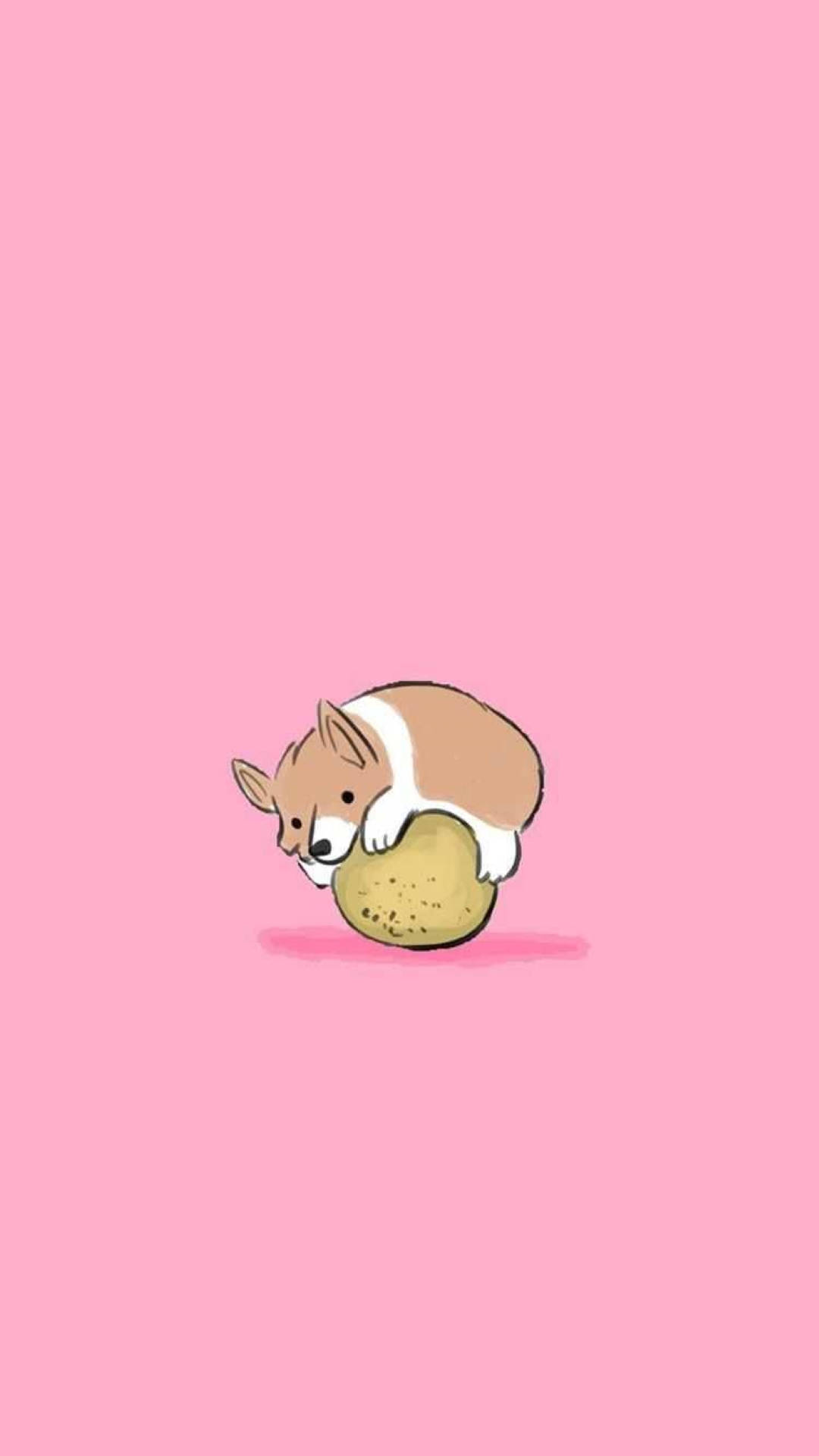 Toca Boca 科基犬幼犬 壁紙 — 一隻可愛的哥基幼犬頑皮地用鼻子蹭著一個馬鈴薯，背景是純粉紅色。