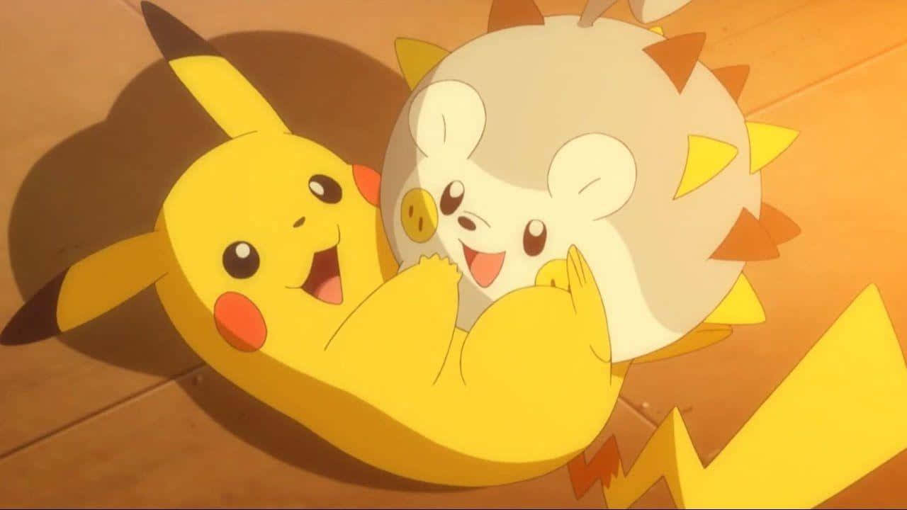 皮卡丘與 Togedemaru 壁紙 — 比卡超同一個圓形黃色生物喺灑滿金色陽光嘅木地板上溫暖擁抱。