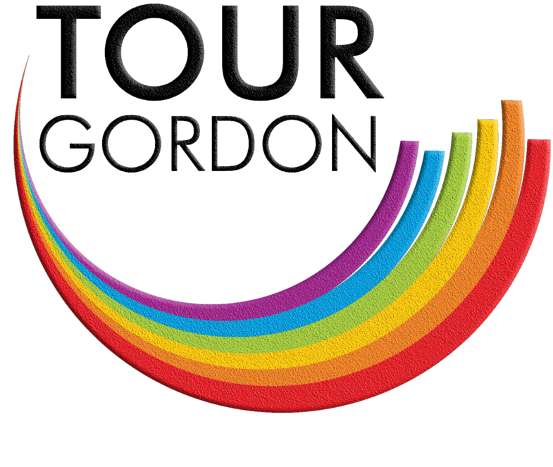 Tour Gordon 彩虹標誌 壁紙 — 一個大膽的標誌，帶有 'TOUR GORDON' 文字，拱形排列在紋理彩虹色新月之上，背景為黑色。