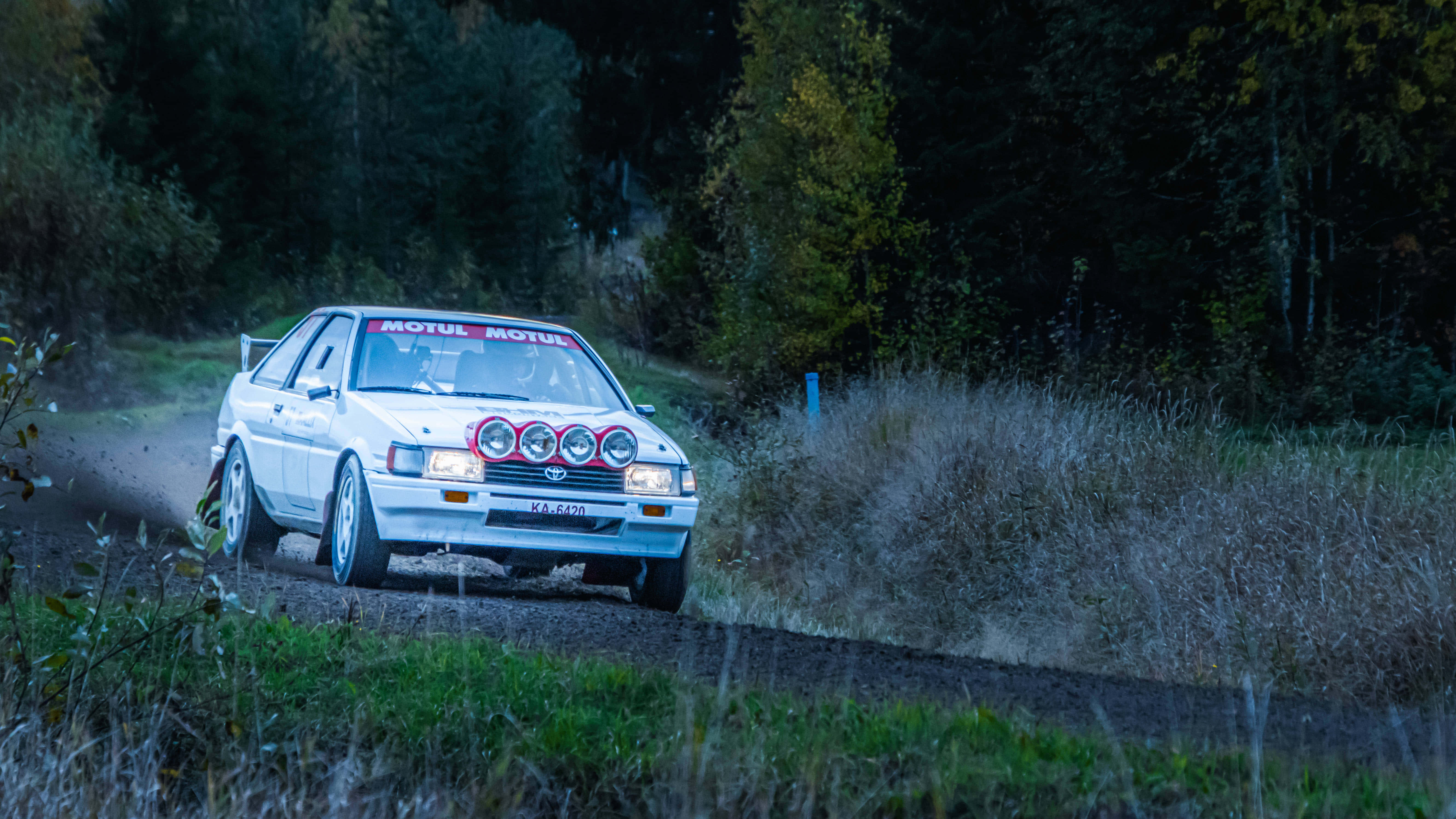 紅色 Toyota AE86 的側面視角 壁紙 — 一輛白色拉力賽車配備四個圓形頭燈，在黃昏時分沿著林間泥路飛馳，揚起塵土。