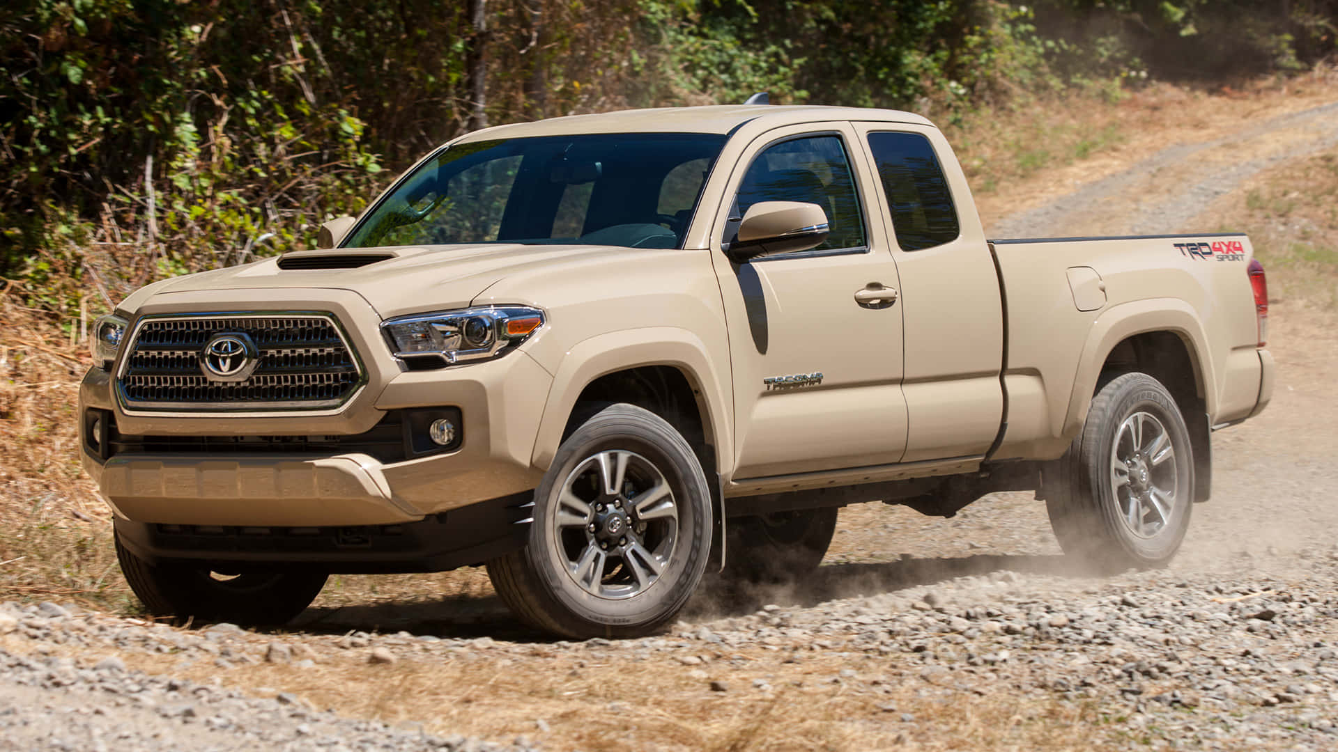 米色豐田 Tacoma TRD Off-Road 卡車在自然中的塵土碎石路上行駛。