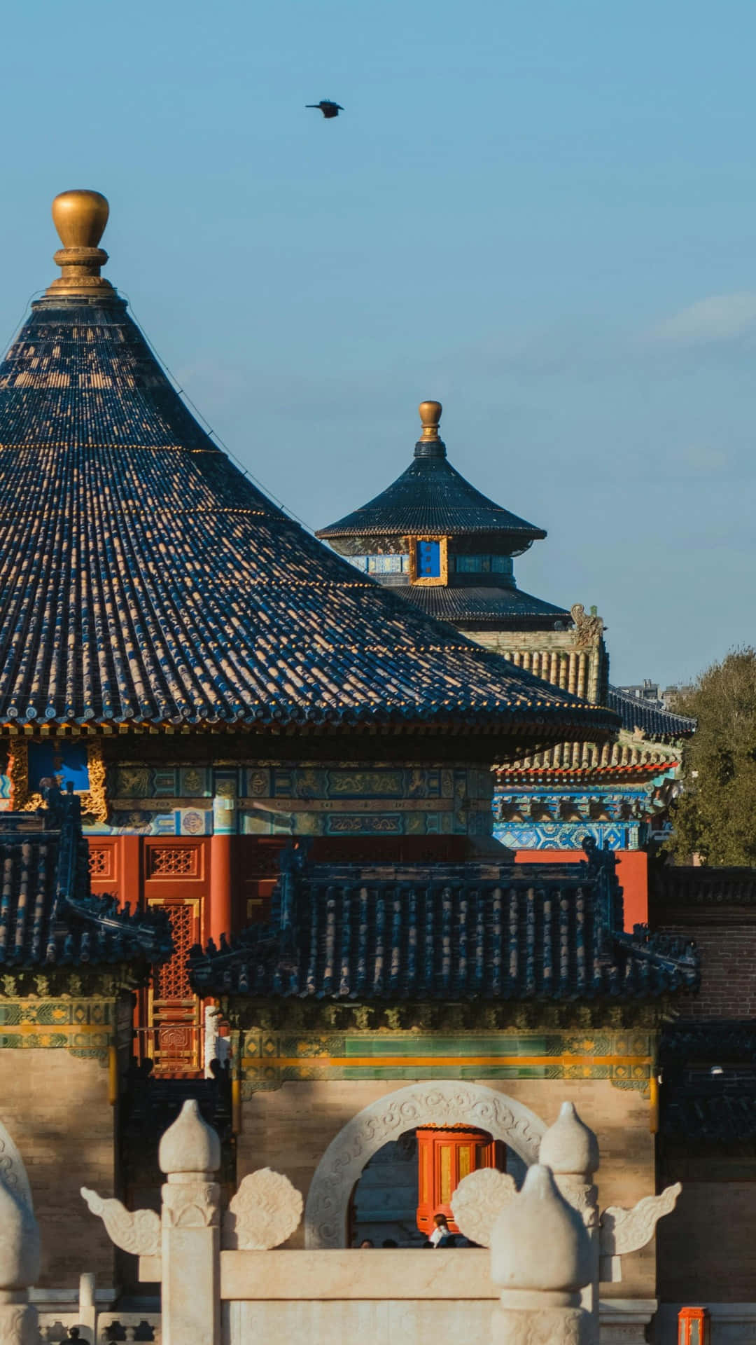  壁紙 — 傳統中國寺廟屋頂，藍色瓦片和金色頂飾，在晴朗天空下有一隻鳥飛過。