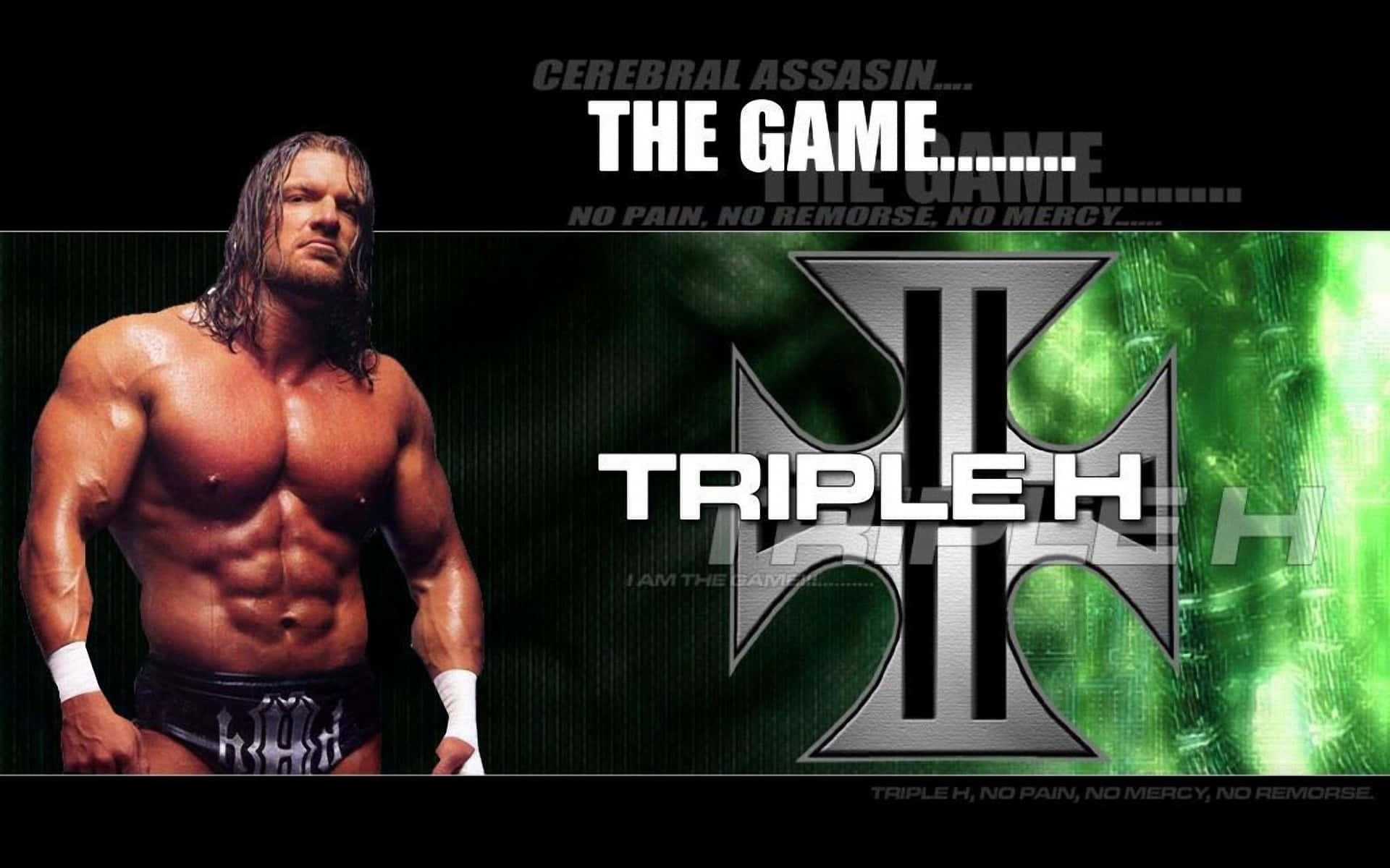 摔角手 Triple H 穿著黑色三角褲和白色腕帶，站在綠色數位背景前。