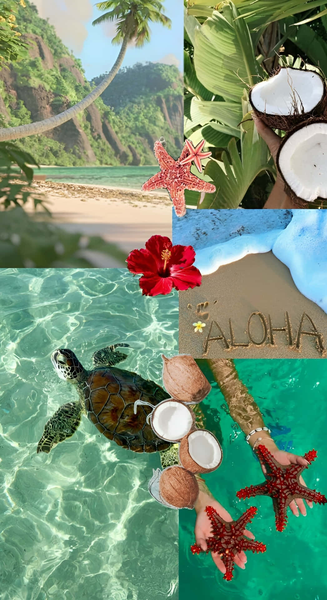  壁紙 — 熱帶海灘拼貼畫，有棕櫚樹、椰子半邊、海星、木槿、海龜和沙上寫的「aloha」。