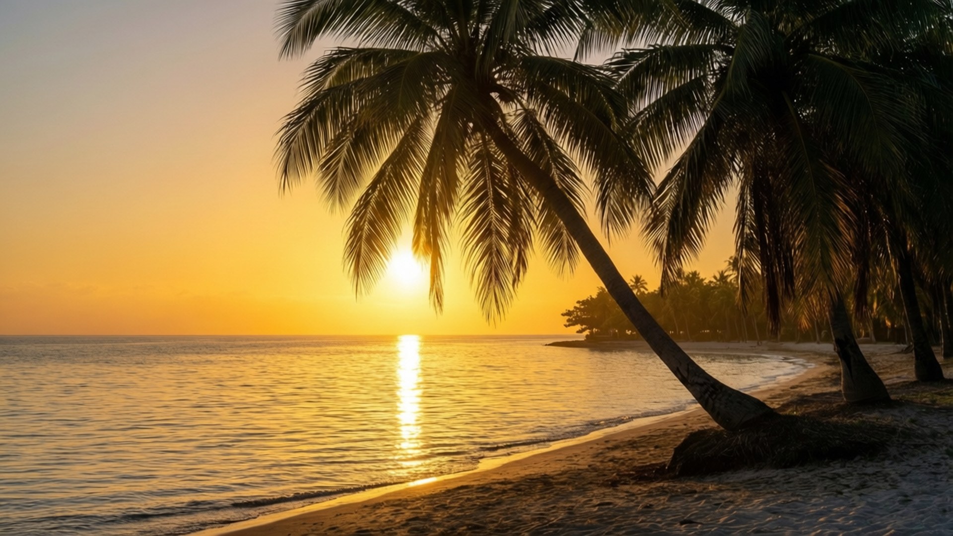 棕櫚樹剪影映襯著金色夕陽，平靜的海水在沙灘上。