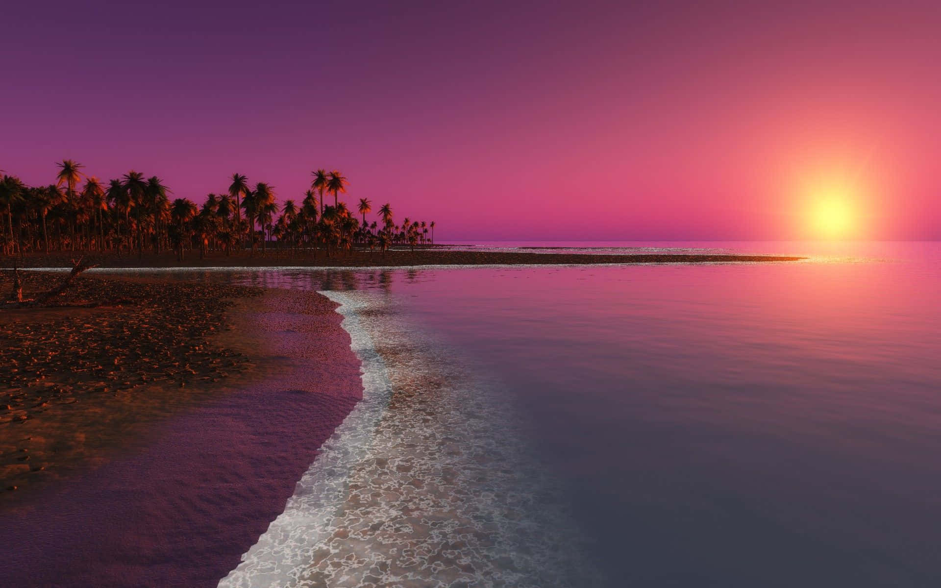 Coastal Sunset 桌布 壁紙 — 日落時分寧靜的熱帶海灘，棕櫚樹在充滿活力的粉紅色和紫色天空襯托下形成剪影。