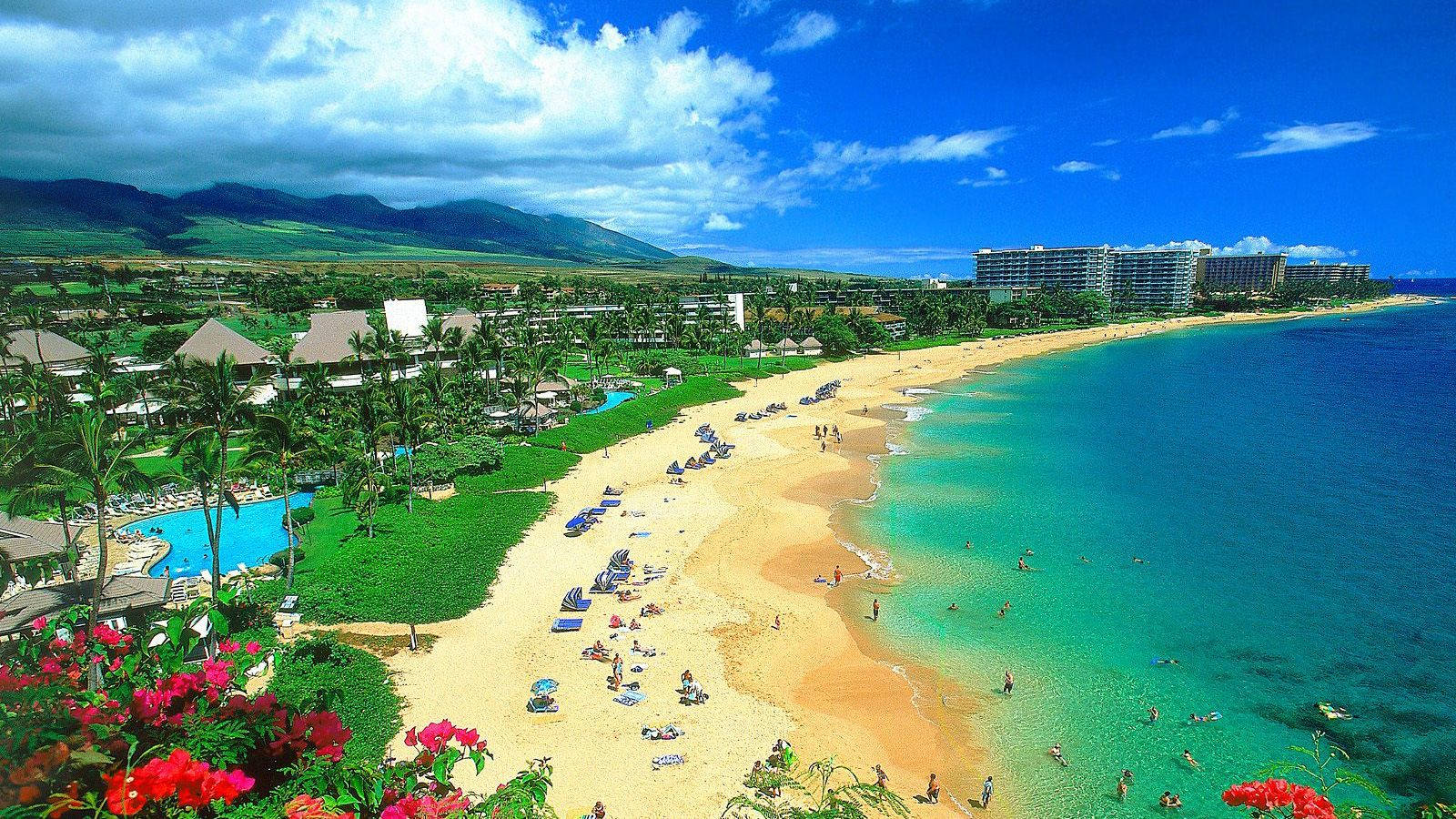 熱帶海灘，有碧綠的海水、棕櫚樹和度假村建築，在晴朗的天空下。