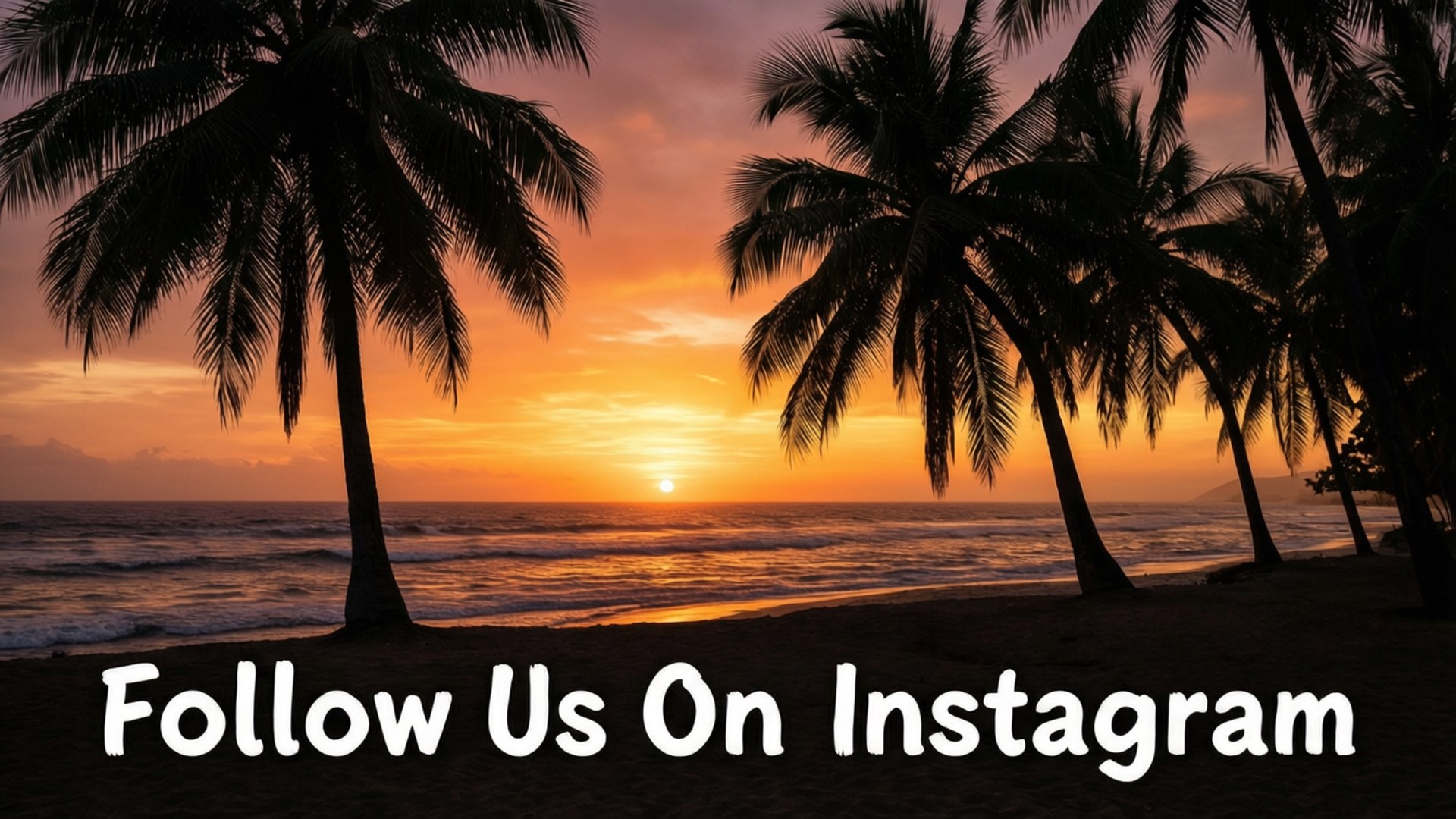 Tropical Sunset Instagram 壁紙 — 棕櫚樹的剪影框住了一個充滿活力的橙色日落，映照在平靜的海洋上，溫柔的海浪拍打著海岸。