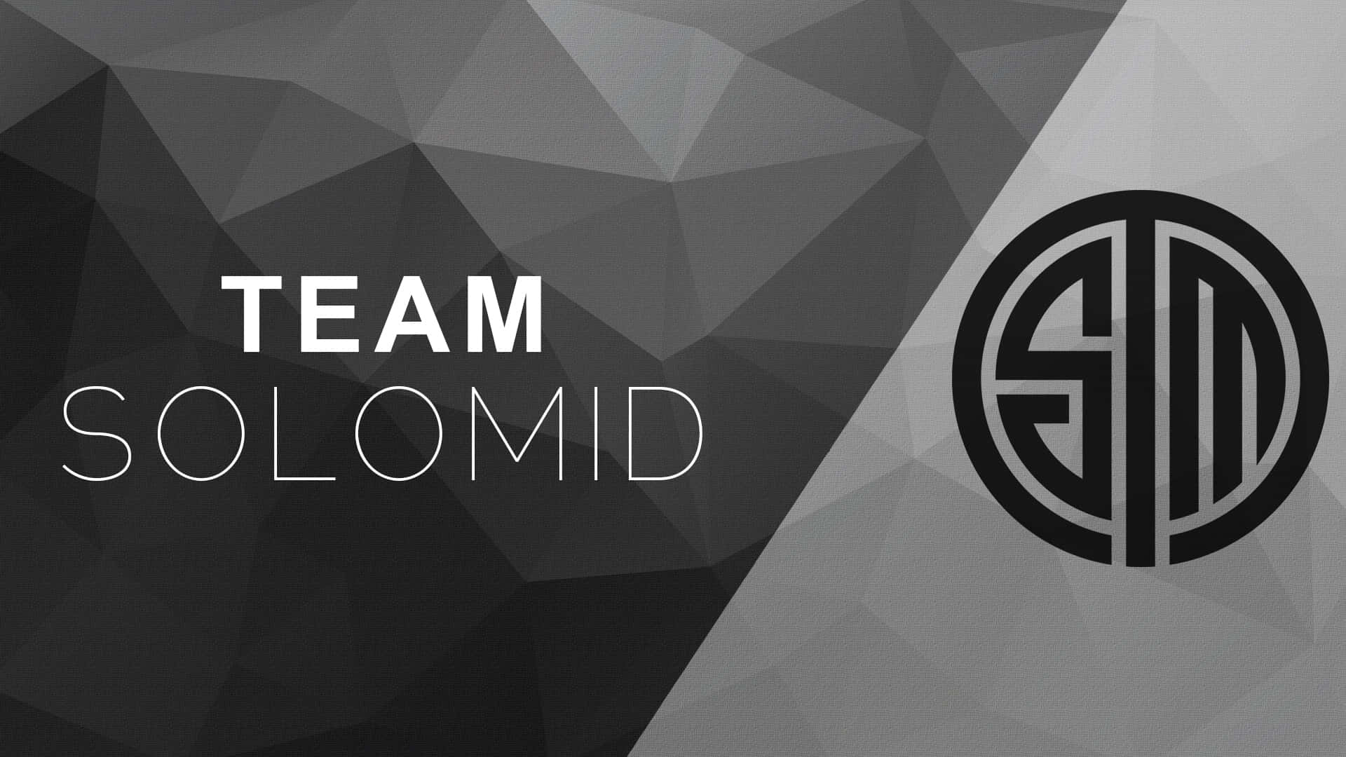 TSM 几何背景 壁紙 — 單色幾何牆紙，在帶有刻面的灰色背景上印有粗體文字和標誌。
