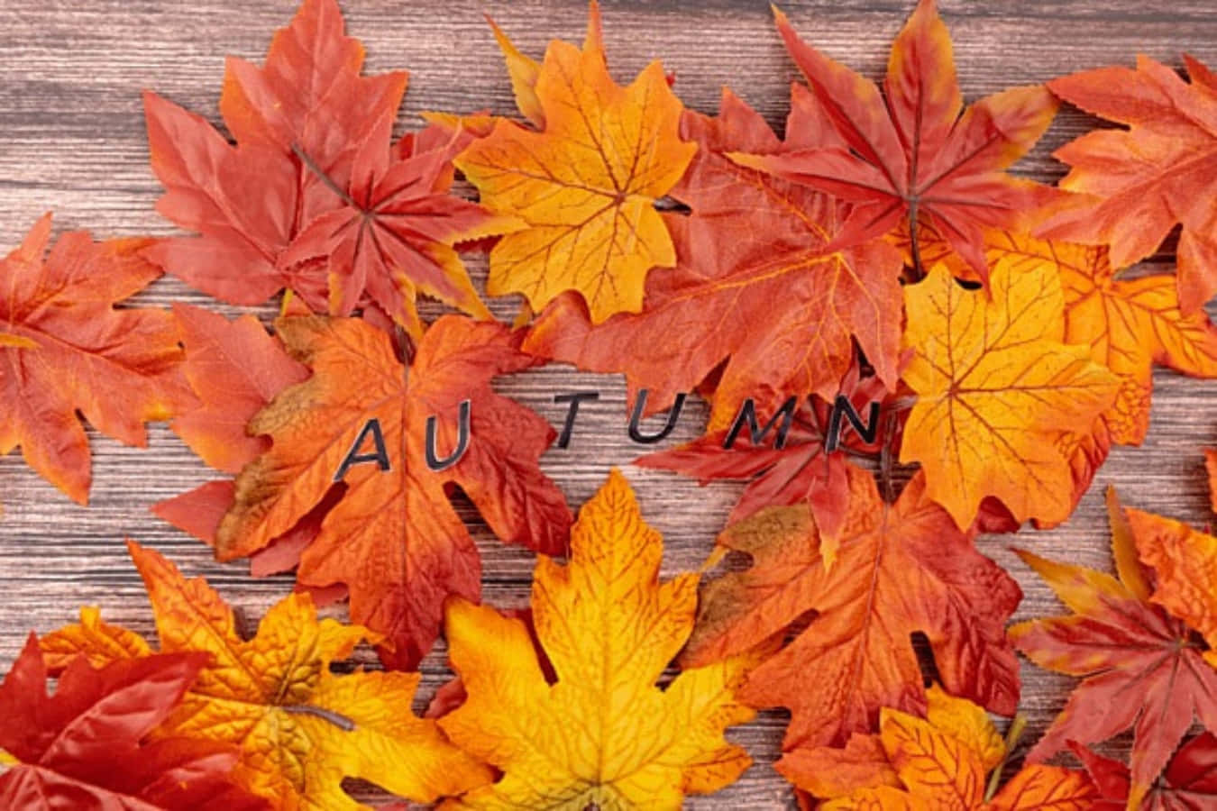紅橙楓葉 Tumblr 秋季桌面壁紙 壁紙 — 鮮豔的秋季楓葉，火紅和金黃色，散落在質樸的木質表面上，拼寫出AUTUMN這個詞。