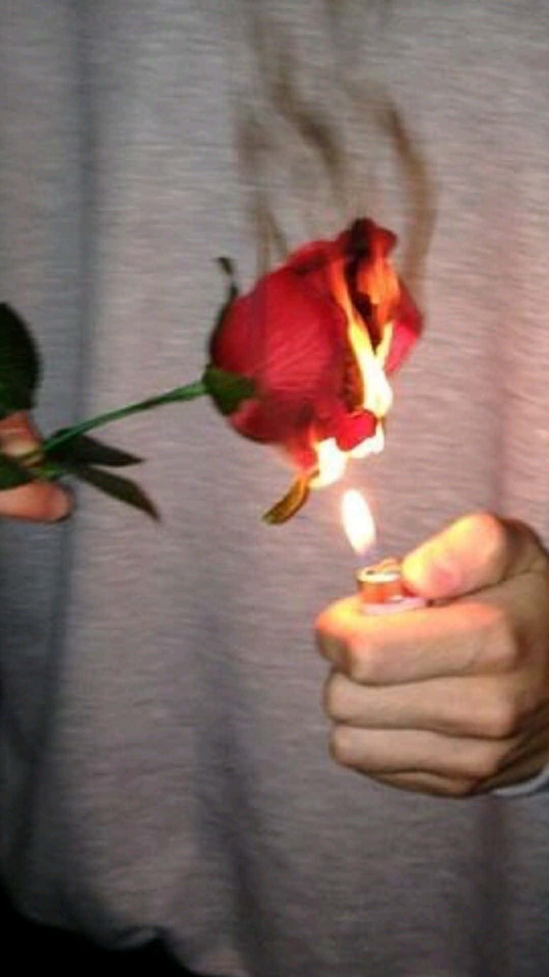 暗黑龐克Tumblr風格燃燒玫瑰 壁紙 — 一隻手拿著打火機點燃一朵紅玫瑰，玫瑰在灰色布料背景上捲曲並冒煙燃燒。