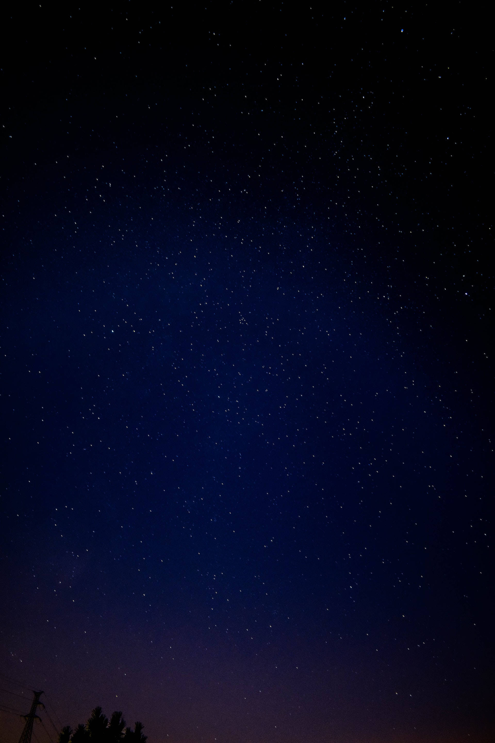 漸變紫夜空黑色美學 Tumblr iPhone 壁紙 — 令人屏息的夜空，無數星星點綴在樹木和電線的黑暗剪影之上。