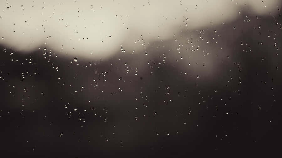 以時尚美學風格激發創意的 Tumblr 桌面壁紙 壁紙 — 雨滴依附在玻璃窗上，模糊的灰色天空和樹木的暗色剪影在背後逐漸化為柔焦。