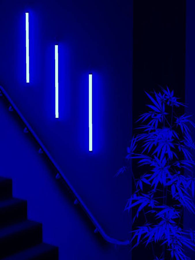 深藍色美學Tumblr壁紙：室內樓梯 壁紙 — 三支垂直嘅藍色霓虹光管照亮咗一條樓梯同竹植物，喺一個黑暗嘅極簡主義室內空間。