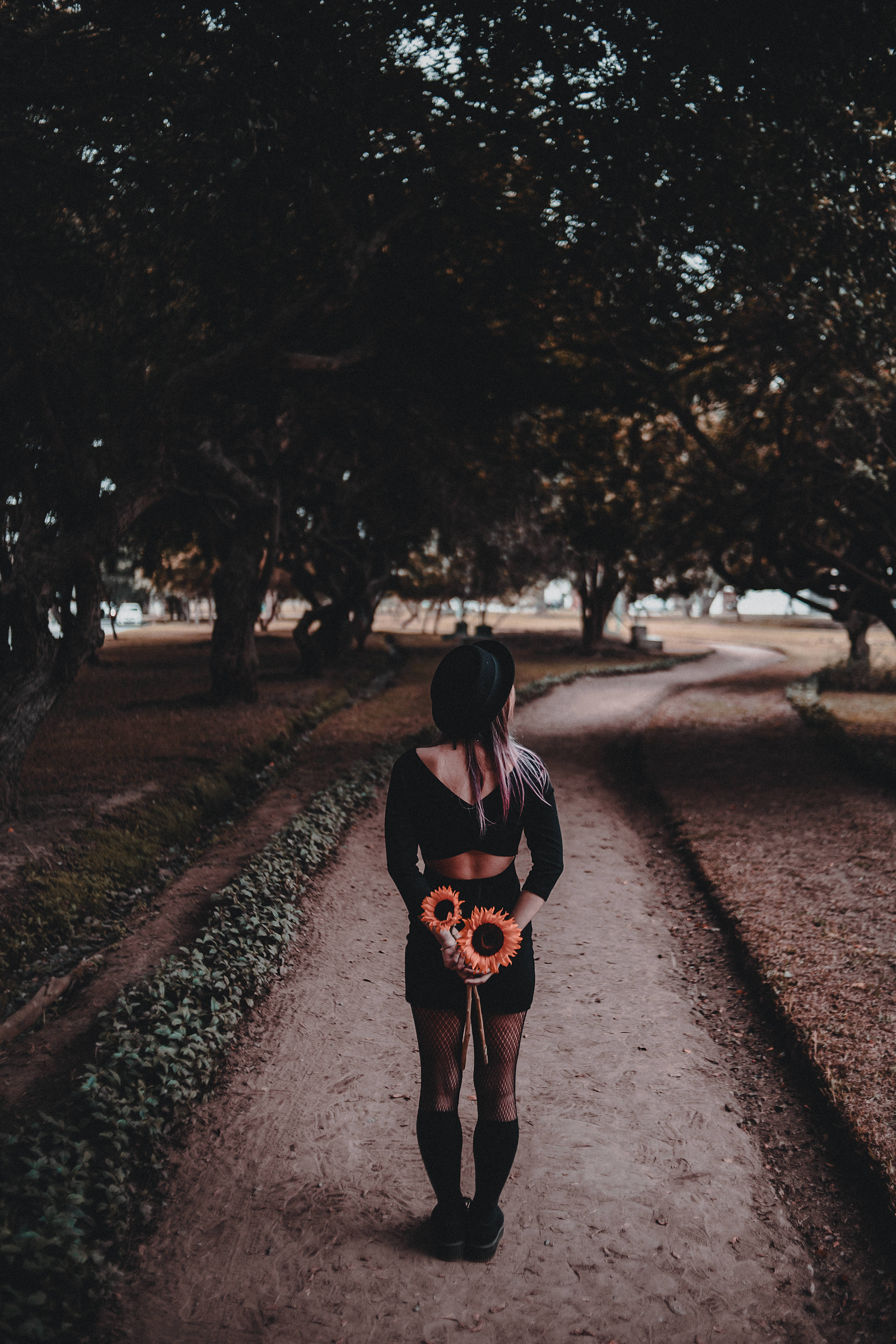 Tumblr 花朵 公園女孩 壁紙 — 一位身穿黑衣的女子在漸暗的光線下，拿著向日葵沿著林蔭小徑走遠。
