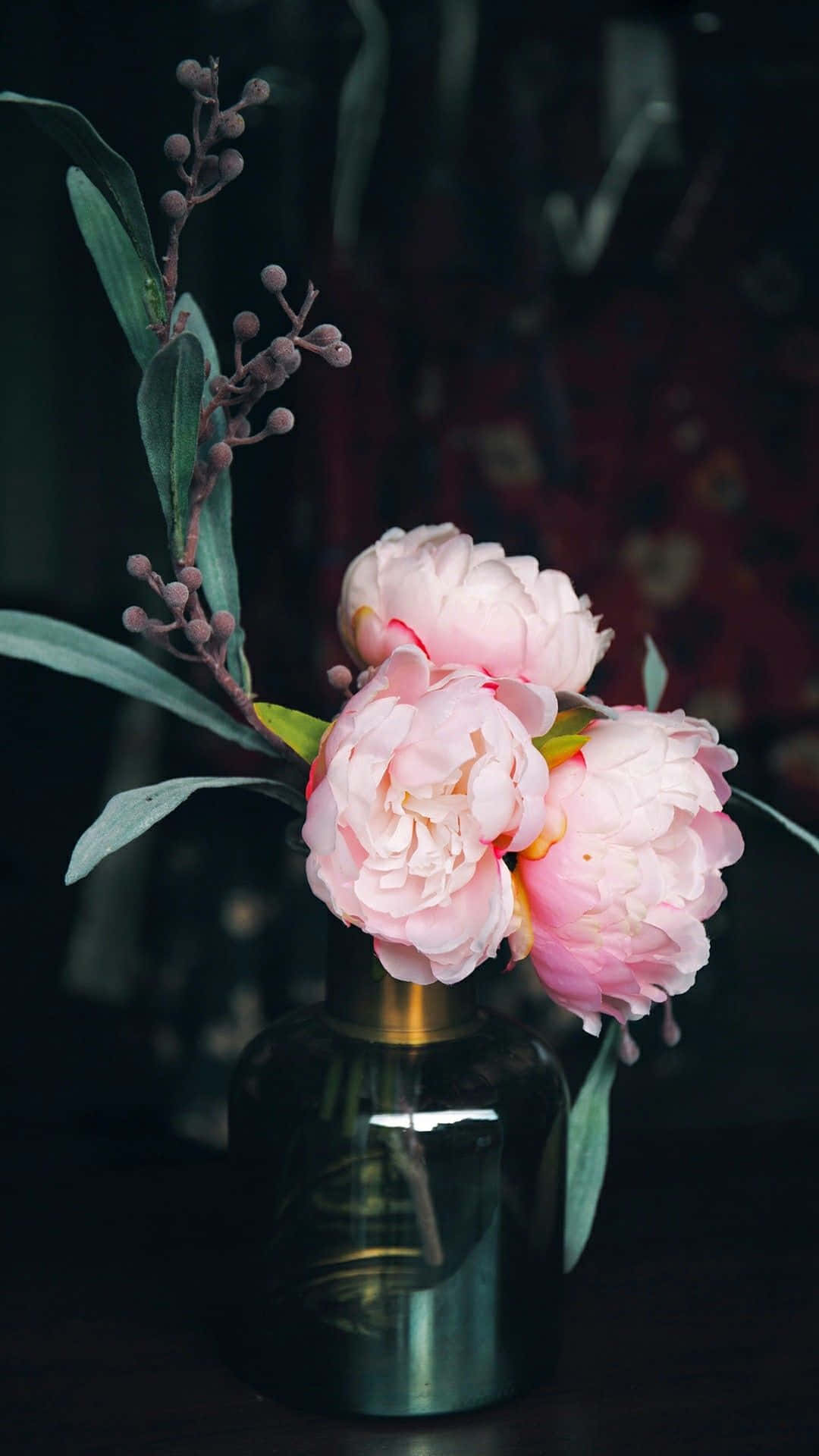 深色玻璃花瓶中的粉紅色牡丹，置於昏暗的表面上。
