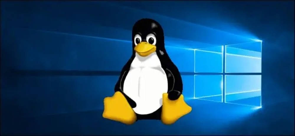 Windows標誌背景前的Linux企鵝吉祥物