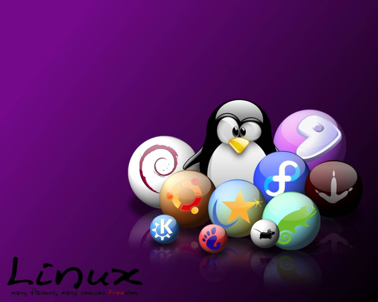 Linux企鵝與發行版標誌在紫色背景上