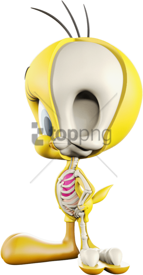 Tweety Bird半透明骨骼圖 壁紙 — 一隻3D渲染的黃色卡通鳥，軀幹被切開，露出粉紅色肋骨和白色骨頭，背景為純白色。