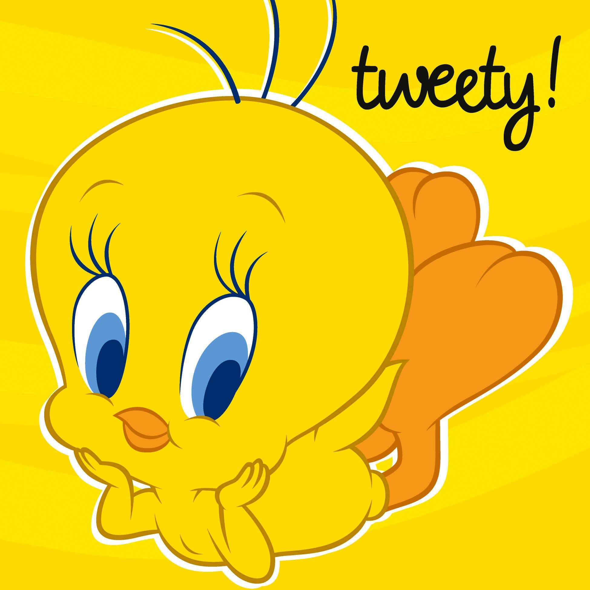 Tweety Bird 壁紙