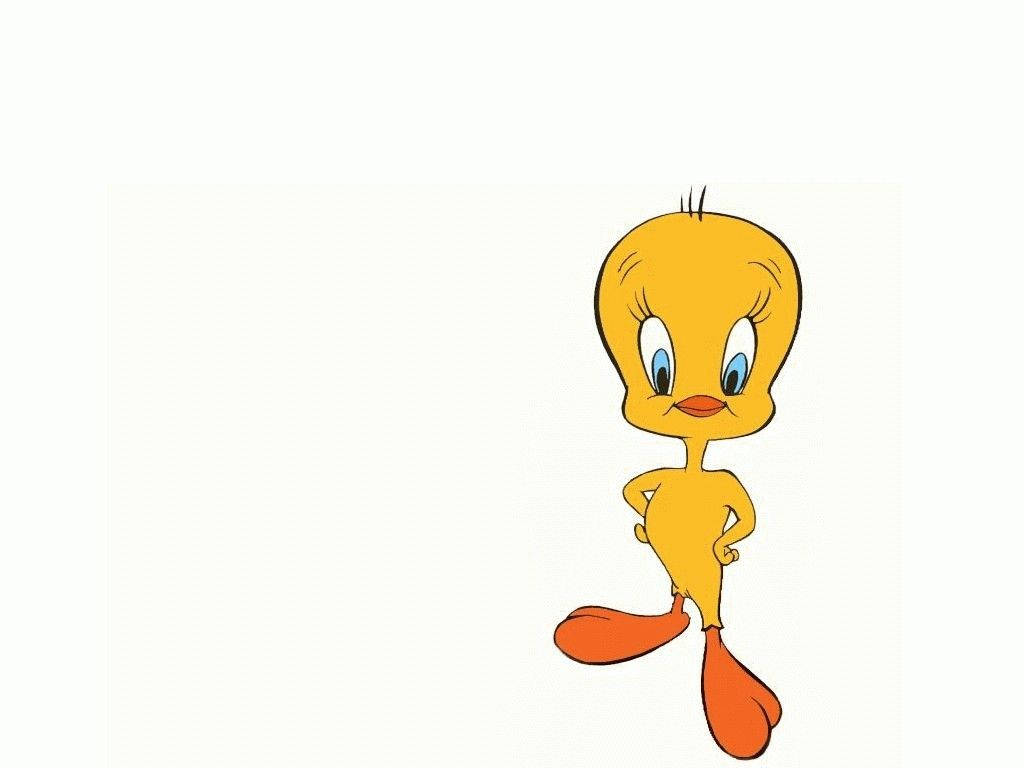 Tweety Bird 卡通角色雙手叉腰站立