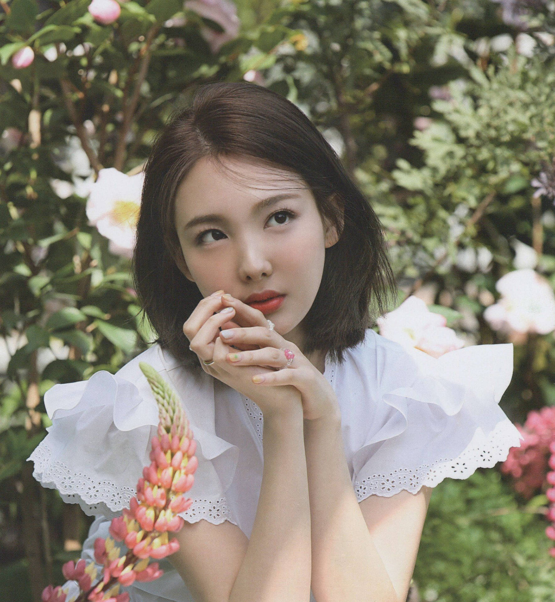 年輕女子穿白色襯衫在花園裡拿著粉紅花