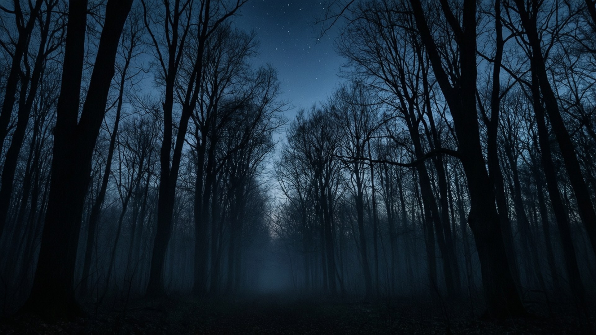 在繁星夜空下，霧林中的樹木剪影