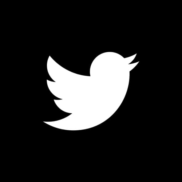 Twitter 黑底標誌 壁紙 — 一個鮮明的白色Twitter鳥標誌居中在純黑色背景上。