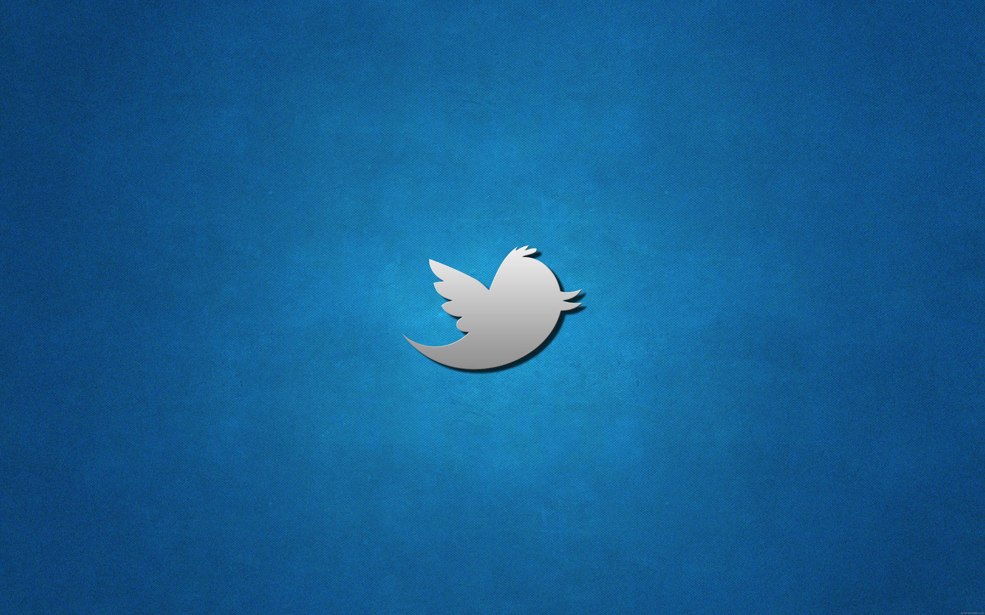 Twitter鳥標誌在藍色紋理背景上