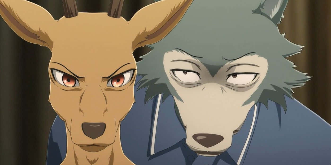  壁紙 — 兩個擬人化動物角色帶著強烈的表情，在特寫動畫場景中直視前方。