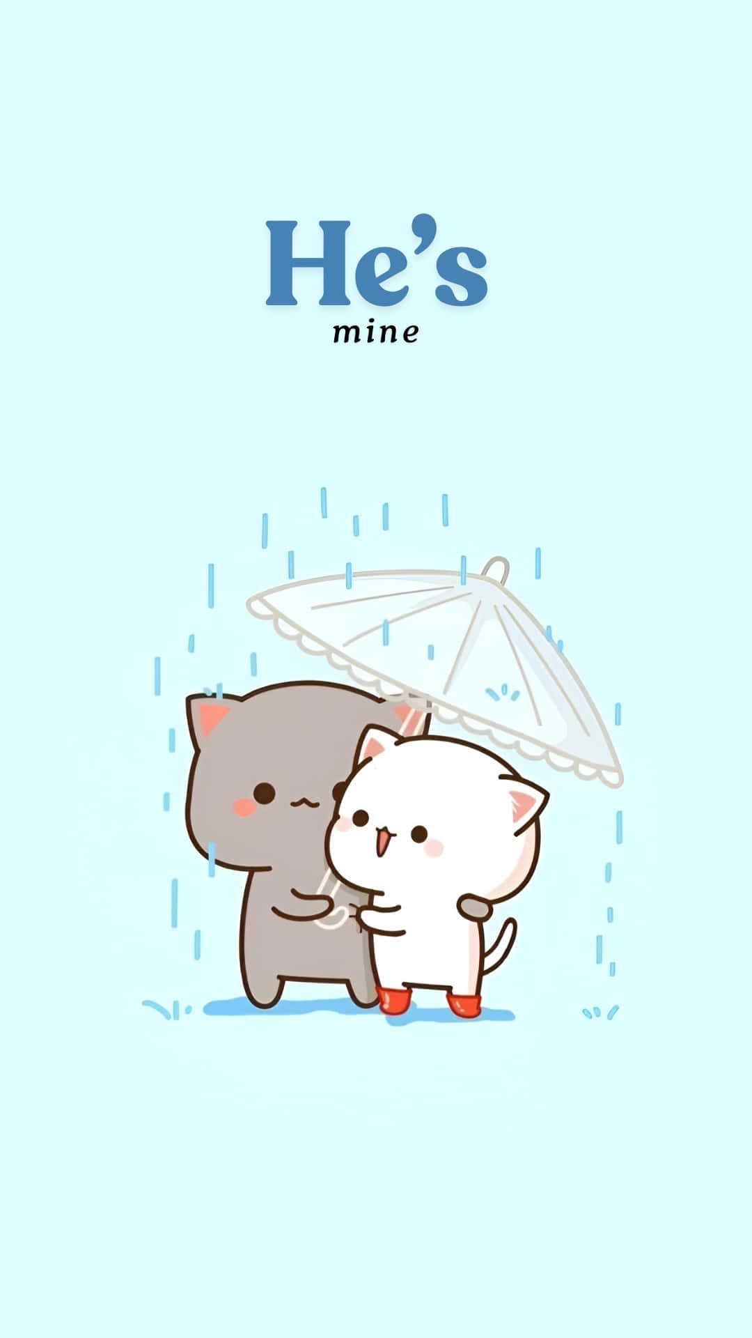  壁紙 — 兩隻可愛的卡通貓咪在柔和的藍色背景下，在細雨中共享一把白色雨傘。