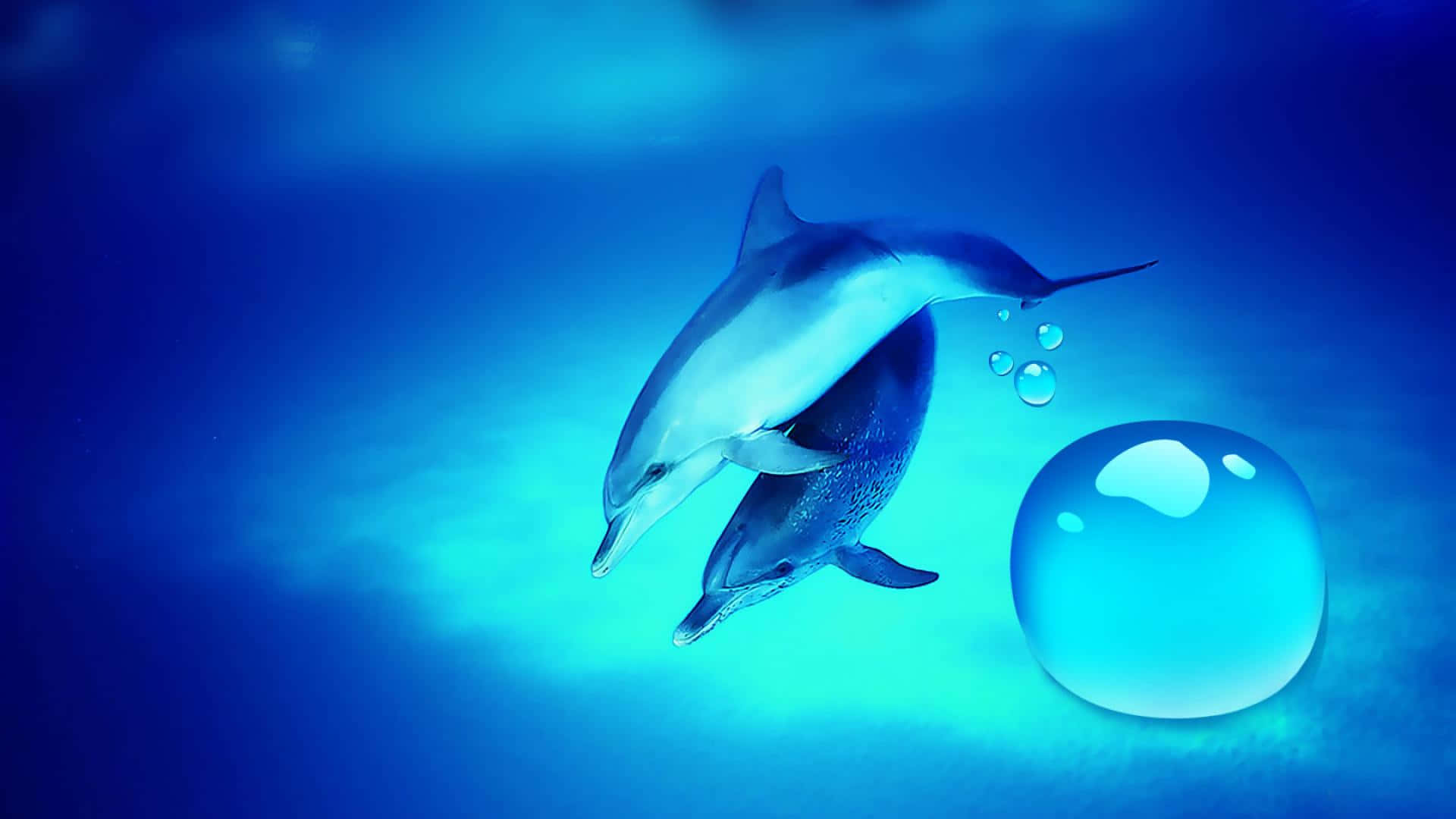 兩隻海豚在藍色海洋水中靠近一個巨大氣泡游泳。